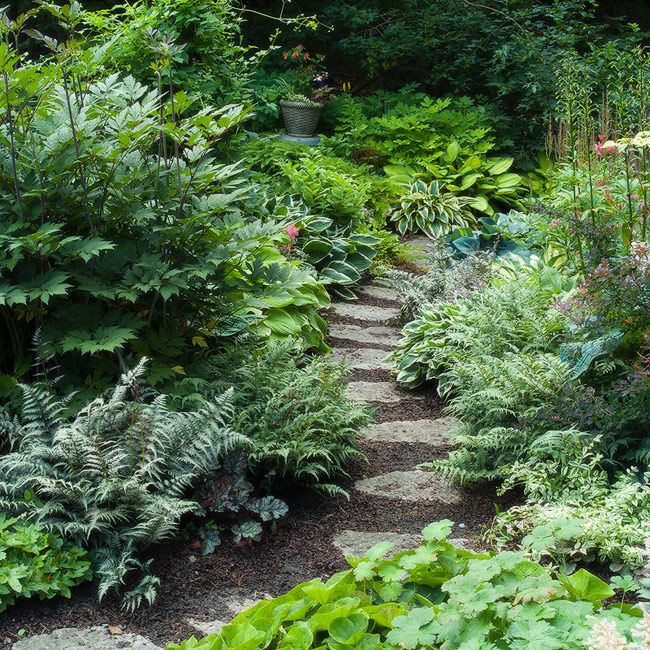 We're Coveting: A Shade Garden Path - The Covet Files